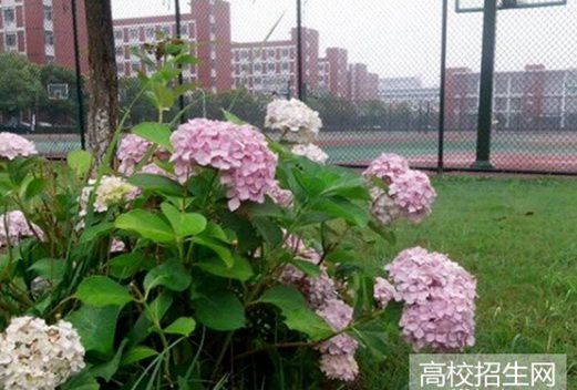 四川省成都卫生学校