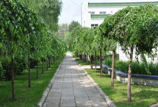 云南省临沧卫生学校