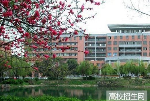 成都棠湖科学技术学校