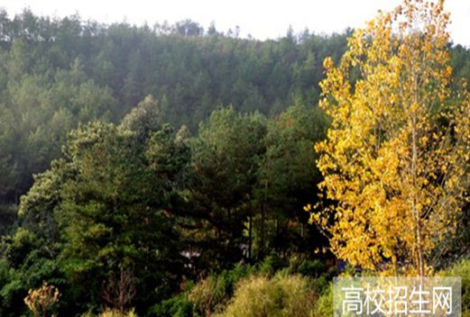 贵州盛华职业学院