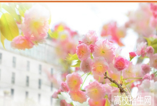 贵州盛华职业学院