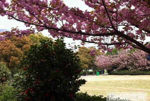 成都市现代职业技术学校