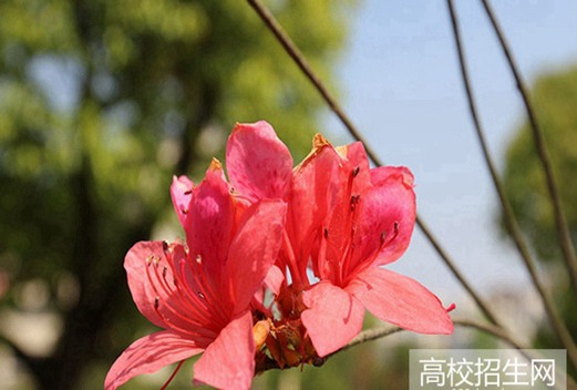 遂宁机电职业技术学校