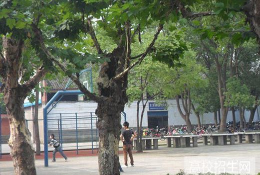 宜宾科普职业技术学校