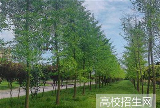 四川管理职业学院