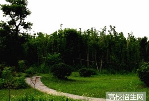 四川省巴中师范学校