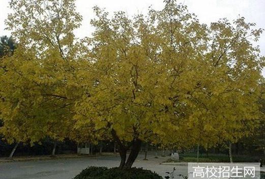万源第二职业高级中学