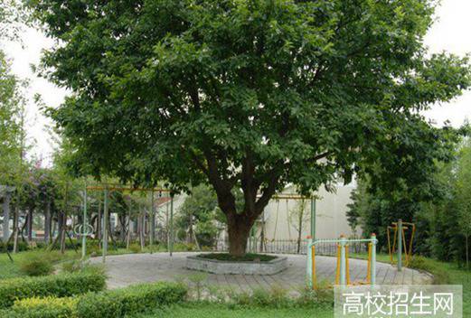 宜宾三峡机电职业技术学校