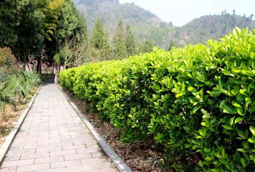 贵州航天职业技术学院