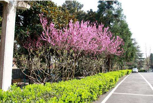 贵州航天职业技术学院