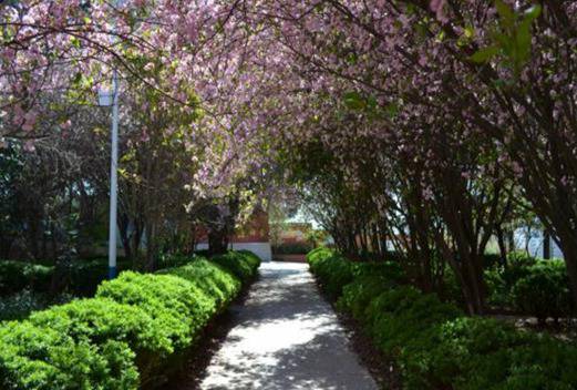 昆明高级技工学校