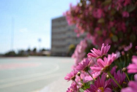 昆明高级技工学校