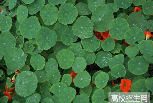 四川省信息工程学校