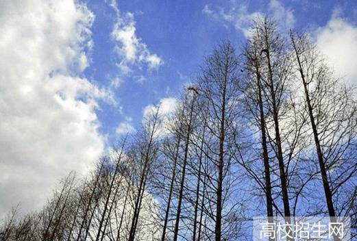 四川省信息工程学校