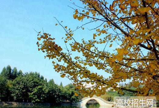 四川科技职业学院