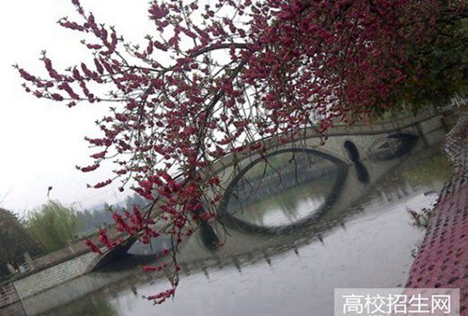 四川城市职业学院