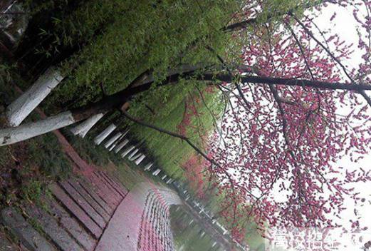 四川城市职业学院