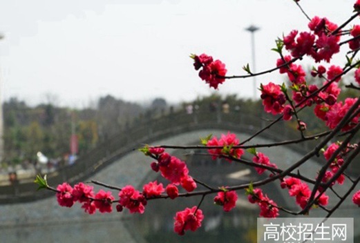 四川城市职业学院