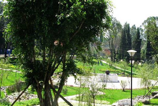 云南交通技师学院