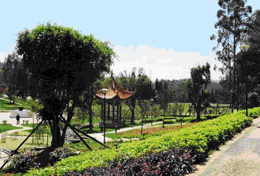 云南交通技师学院