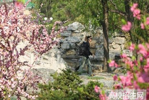 宜宾东方职业技术学校