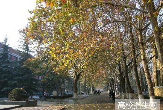 宜宾东方职业技术学校