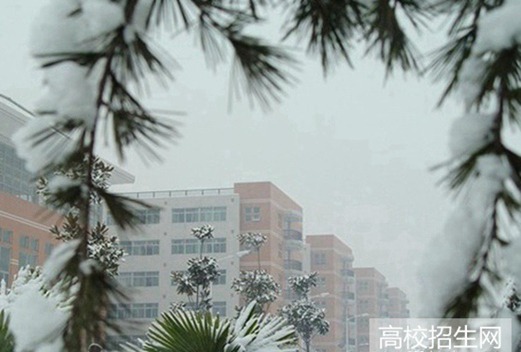 四川华新现代职业学院