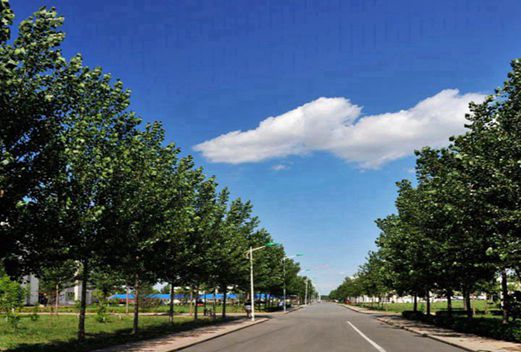 四川汽车职业技术学院