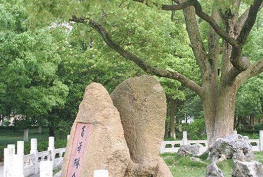 成都市育华职业学校