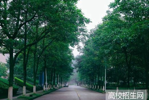 眉山职业技术学院