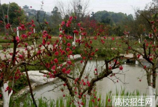 眉山职业技术学院