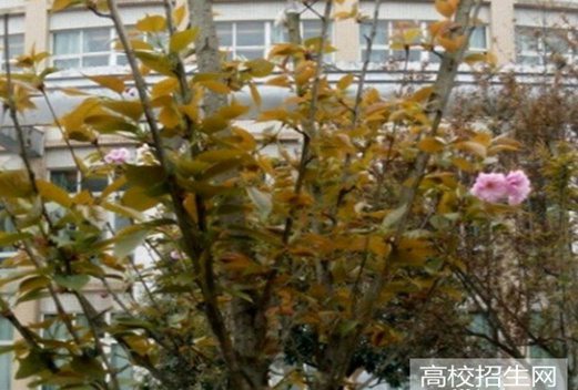 眉山职业技术学院