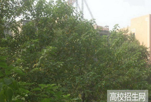 成都工业职业技术学院