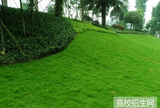 宜宾职业技术学院