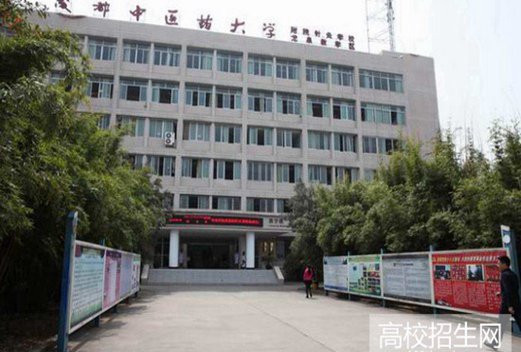 成都中医药大学附属医院针灸学校