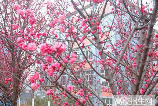 德阳通用电子科技学校