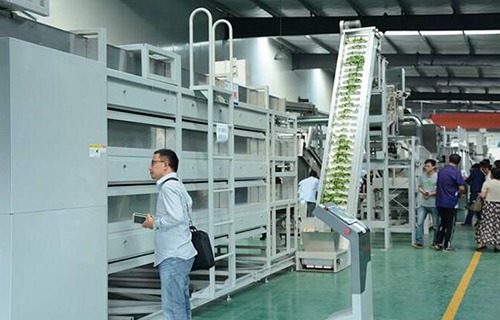 双江县职教中心