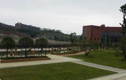 盈江县旧城弄坎农中