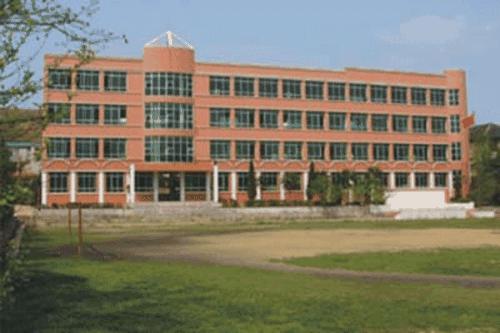 盈江县旧城弄坎农中