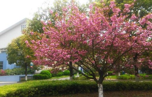 南京交通技师学院