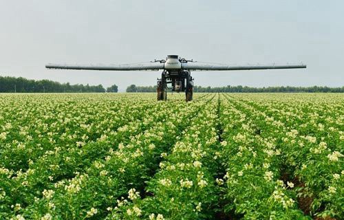 云南大理农业学校