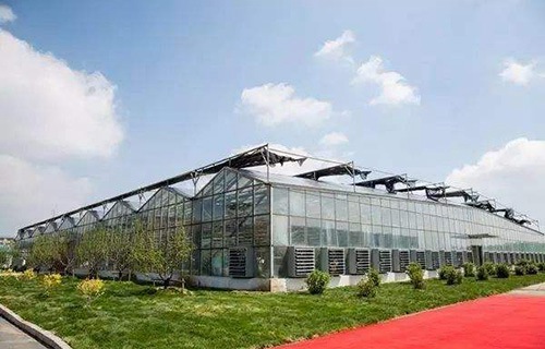 云南大理农业学校