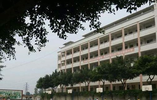 武定县高级职业中学