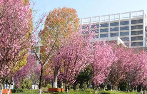 云南工程技术学校