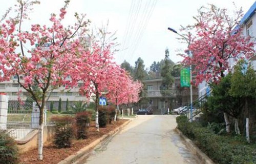 云南省化工高级技工学校