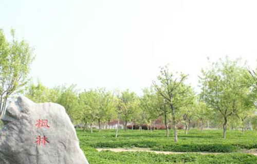 宿迁经贸高等职业技术学校