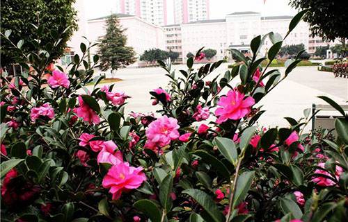 玉溪工业财贸学校