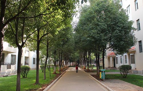 玉溪工业财贸学校