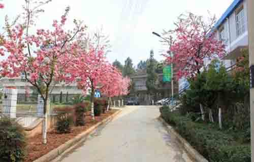 云南林业技工学校