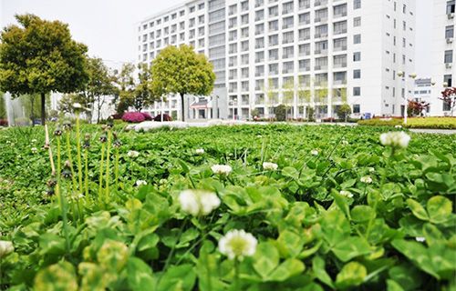 中国有色十四冶技工学校